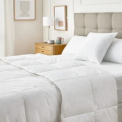 PIKOLIN Couette Nordique premium 150x220cm| 85% Duvet| Automne| Lit 80/90