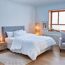 Couette & couverture