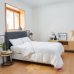 PIKOLIN Couette Nordique premium 140x200cm| 96% Duvet| Hiver| Lit 60/70