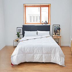 Avis PIKOLIN Couette Nordique Premium - 220gr - 96% Duvet - Hiver - 220x220cm-Lit 140
