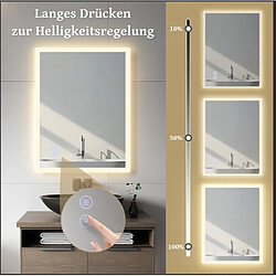 ZMH Miroir de Salle de Bain Moderne avec Éclairage LED et Intensité Variable