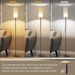 Acheter Zmh Lampadaire LED rétro - Noir