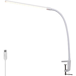 ZMH Lampe de Bureau LED Klemmbar USB 5W - Éclairage Blanc Lumière du Jour pour Bureau