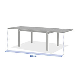 Avis Hesperide Table de jardin extensible en aluminium effet bois 10 places EVASION - Honey et graphite