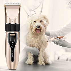 Avis INF Tondeuse Silencieuse Chien - Champagne