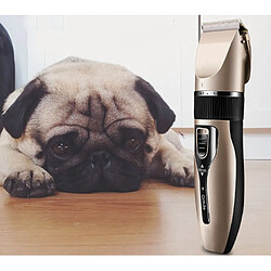 Acheter INF Tondeuse Silencieuse Chien - Champagne