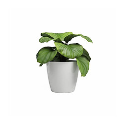 ARTEVASI Cache-pot SAN REMO Blanc - Ø 36 cm (4 pcs)