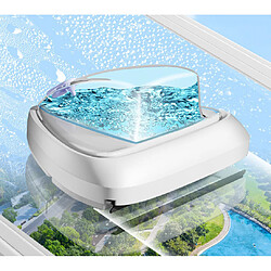 INF Red Nettoyeur magnétique pour vitres