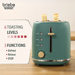 Avis Briebe Nordic TA1166GRE - Vert