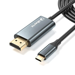 Silver HT Câble USB-C vers HDMI