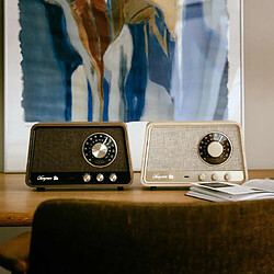 Acheter Sangean WR-101 - Noyer