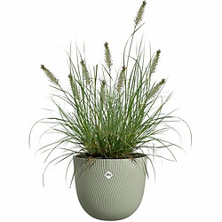 Pots & cache-pots