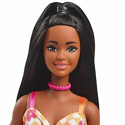 Acheter Barbie Poupée fashionista classique