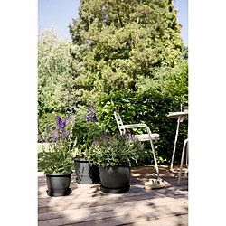 Elho Noir Anthracite - 30 cm