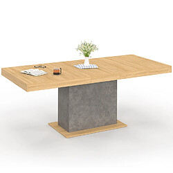 Idmarket EDEN - Table à manger extensible - Bois/effet béton