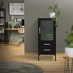 ML-Design Armoire vitrine 42x102x40cm, noir, métallique avec 2 étagères/casiers