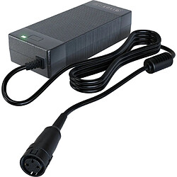 GO SOLID! Gazelle Bikes Chargeur Amphenol - 48V