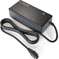 GO SOLID! Sparta/Batavus Chargeur 5 broches - 42V