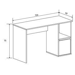 Pegane Bureau avec caisson - Beige