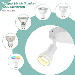 NETTLIFE spot de plafond LED 2 ampoules blanc salon plafonnier spot orientable GU10 spot lampe moderne