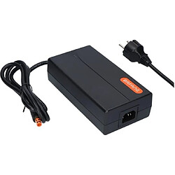 GO SOLID! Chargeur compatible Beaufort Billies & Bo - Noir