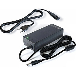 Chargeur GO SOLID! pour Fiido C11