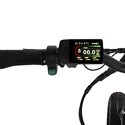 Hygge Bikes Virum - Vélo électrique pliant ultra-léger 36V 10Ah - Vert British Racing pas cher