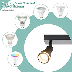 NETTLIFE Spot de plafond LED 2 ampoules noir salon plafonnier spot orientable GU10 spot lampe moderne