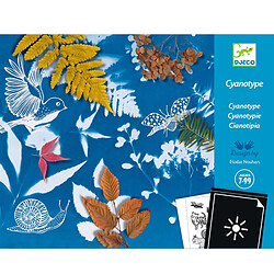 Djeco Cyanotype Starter Kit - FSC MIX