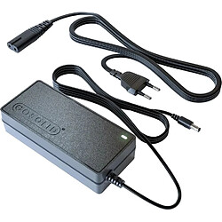 GO SOLID! Chargeur Eleglide T1 Step-Thru Vélo Électrique