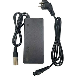 GO SOLID! Chargeur TranzX Vélo Électrique - 42V 2A