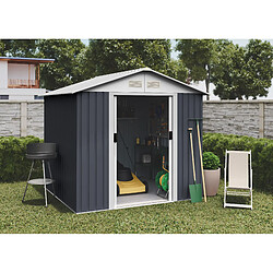 Wasabi - Abri Métal Avancé Seconde 4,1m² - 158x260x200cm - Abri extérieur métallique - Portes coulissantes