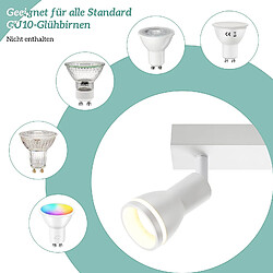 NETTLIFE Spot de plafond LED 2 ampoules blanc salon plafonnier spot orientable GU10 spot lampe moderne