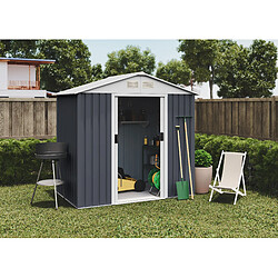 Wasabi - Abri Métal Avancé Seconde 2,1m² - 158x125x200cm - Abri extérieur métallique