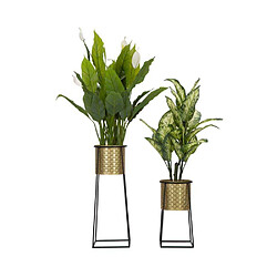 Acheter Mauro Ferretti Support à plantes en métal Coppia (Lot de 2).