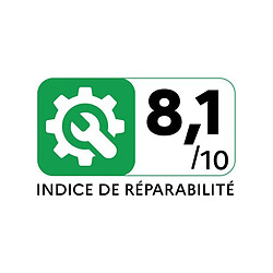Schneider GMS55A2 - 55 pouces pas cher