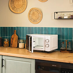 Cecotec Proclean 3110 Flatbed - Blanc