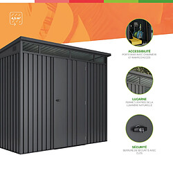 Wasabi Abri de Jardin Métal 4,5m2 Formentera avec fenêtre - Epaisseur 0.40mm plus résistant