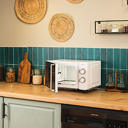 Cecotec Proclean 3010 Flatbed - Blanc