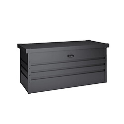 Wasabi - Coffre de Rangement Extérieur Métal 450 L - Epaisseur 0.40mm plus résistant - Couvercle à charnière - Ouverture facile