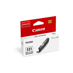 Canon Pixma Chroma Life 100 TS8750 - Gris