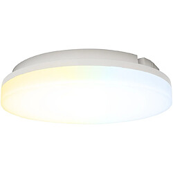 Abi Aurora DL151157
