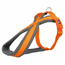 Equipement de transport pour chien