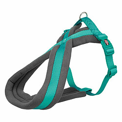 Equipement de transport pour chien
