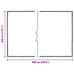 VIDAXL Housse protection PE 3x6 m pas cher