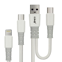 LinQ USB-C et Lightning 1,2 m