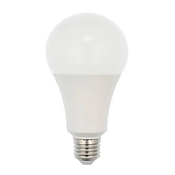 Horoz electric ampoule LED E27