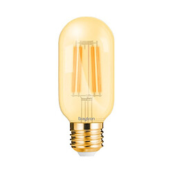 Braytron Ampoule LED filament T45 E27