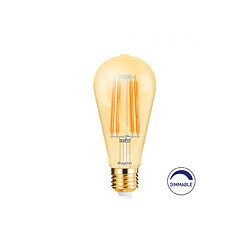 Braytron Ampoule LED filament E27