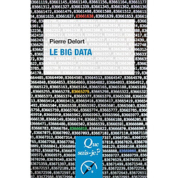 Le big data - Occasion